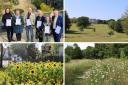 Six Lewisham parks have been named among some of the best in the capital in the London in Bloom awards 2024.