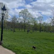 Met Office weather forecast in London for Father's Day