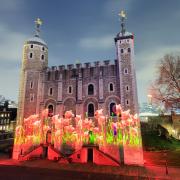 The Tower of London will be hosting a special lights shower to mark Remembrance Day over November.