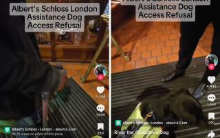 Albert Schloss: Assistance dog refused access downstairs in TikTok