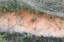 Orange water running through Willow Farm, Little Heath, after heavy rain. Picture: Clive Wilderspin