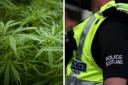 Police have seized a cannabis cultivation 'worth around £1.5m' in Peterhead