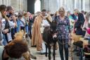 Marley the donkey will lead the annual procession of animals and charity workers! 