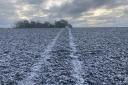 Snow has fallen in parts of Suffolk this morning