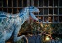 Get up close and personal with dinosaurs at Jurassic World: The Exhibition