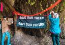 Residents protesting against plans to fell trees on the Parkland Walk