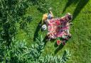 A family enjoying a picnic outdoors