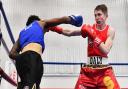 Islington Boxing Club fighter Connor Daly in action