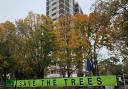 Save The Trees fought against felling the trees at Dixon Clark Court