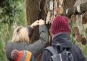 The Baby Loss Tree is on the Parkland Walk near the entrance at Holmesdale Road, Highgate. This year's walk takes place on October 9