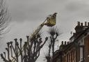 Fire crews used a 32-metre turntable ladder to help bring a fire in Highbury under control