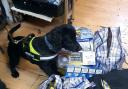 Cooper the sniffer dog helped Islington Council seize more than 4,000 packs of illegal cigarettes at Naz Organic in Holloway Road last year