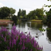 Goodmayes Park has been awarded a Green Flag