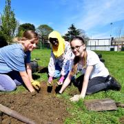 Pictured from left: Alice Rochetti, Hani Ali and Helena Albright