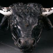 A John Bell foundry cast iron bull's head is going under the hammer