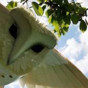 Animal puppets feature in Nature Elly at the Little Angel Theatre