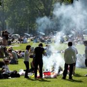 Up in smoke: Highbury Fields pictured in summer last year. Picture: Stephanie Knight