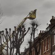 Fire crews used a 32-metre turntable ladder to help bring a fire in Highbury under control