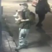 A man brings fatally injured dog to Finsbury Park Animal Hospital