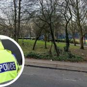 A woman in her 40s was allegedly sexually assaulted in Elthorne Park