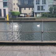 A view of the canal from Crest Buildings in Wharf Road