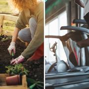 Gardening is better for increasing your life longevity than the gym, according to Dan Buettner.