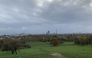 The view over London Zoo from Primrose Hill