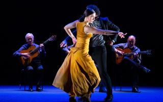 Paco Peña’s Flamenco runs 4 nights